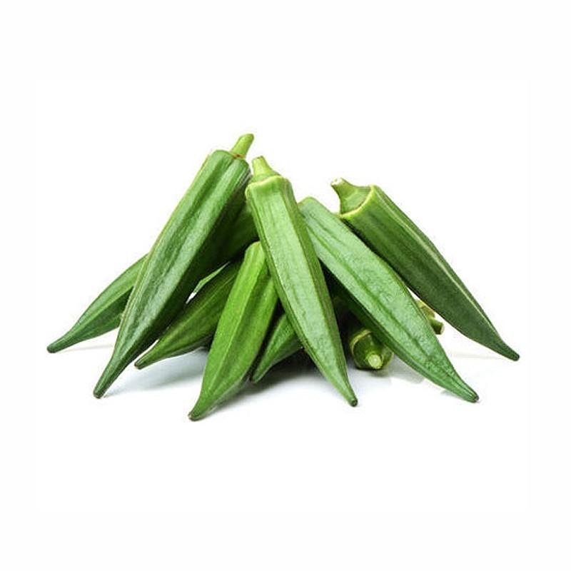 Green Bell Pepper - Image 3
